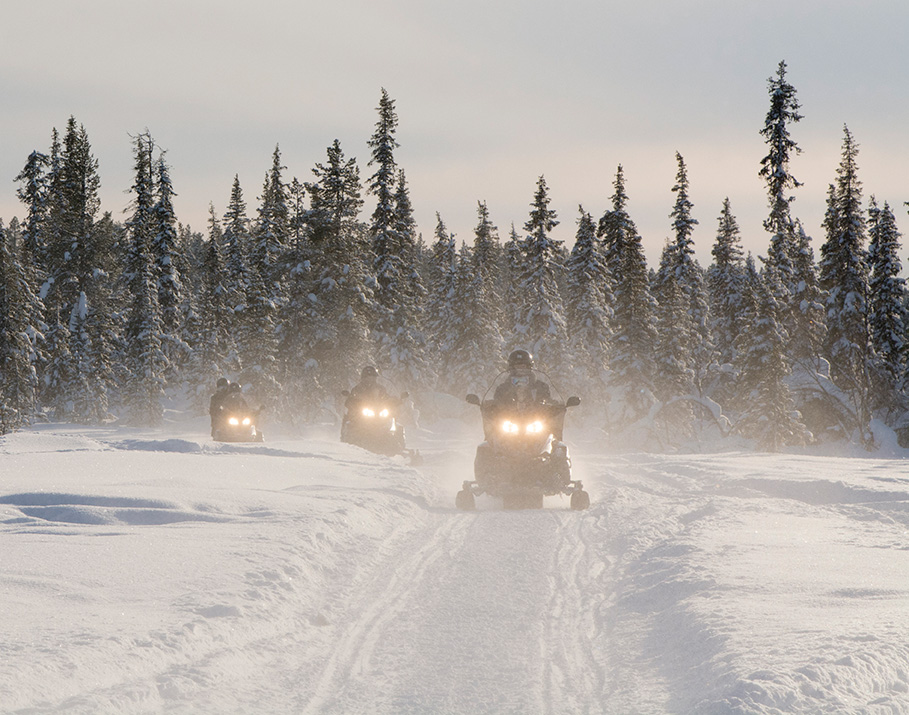 Access trails near Meeker from the Elk Mountain Inn!